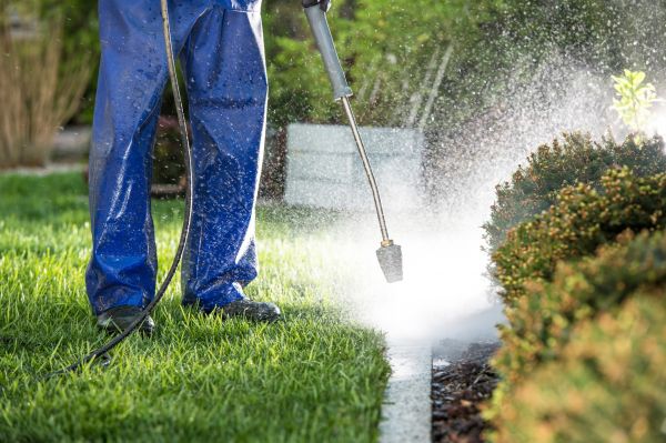 Cost of Curb Cleaning in State College