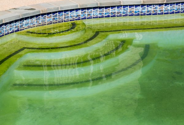 Pool Deck Algae Removal in State College