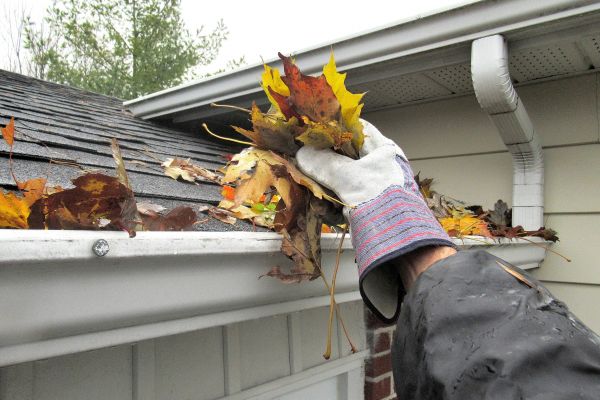 Eaves Cleaning in State College