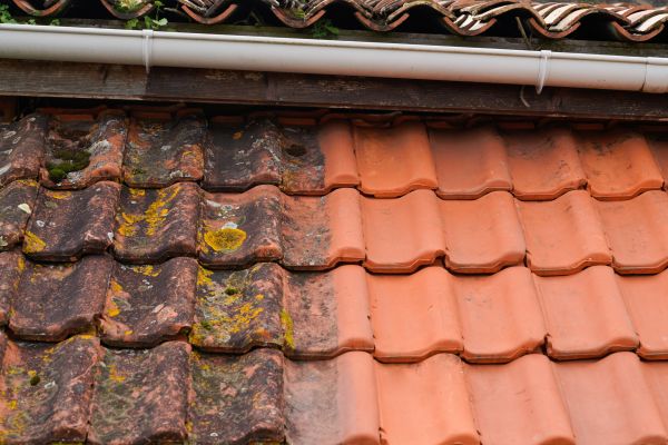 Industrial Roof Cleaning in State College