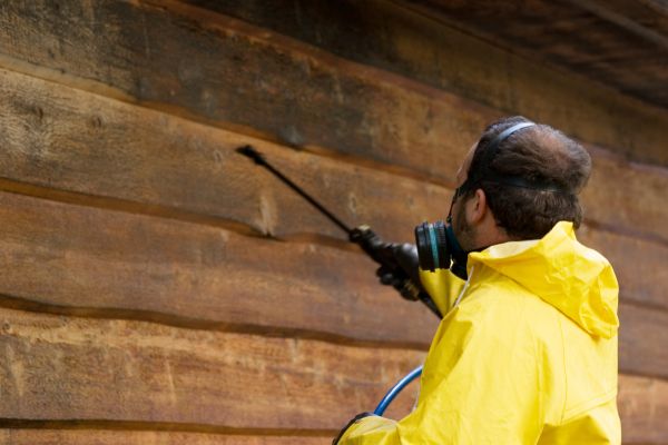 Cedar Siding Washing in State College