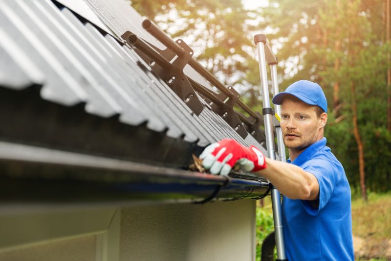 Gutter and Roof Cleaning